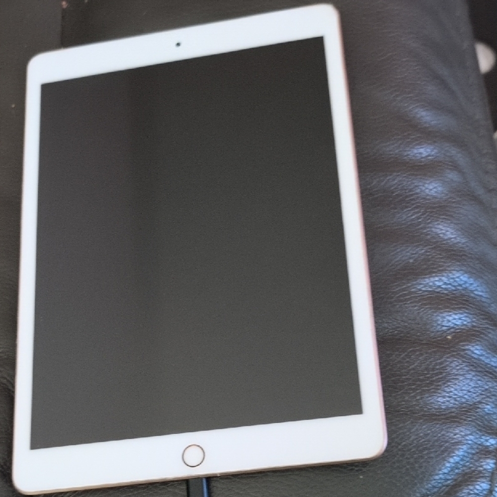 Apple iPad - Gold